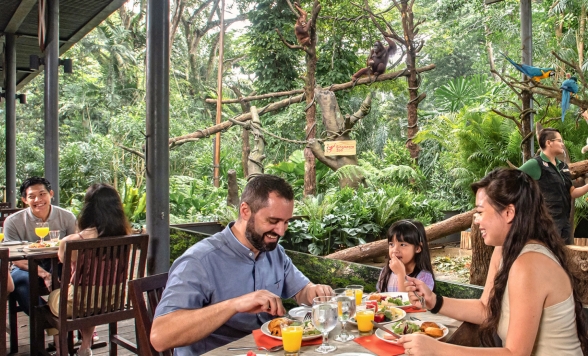 2026年を迎える特別な瞬間！大晦日 カウントダウン  リバーボート + ナイトサファリ